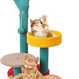 Amazon Basics Multi-Color Cactus Plant Cat Tree with Platform & Scratching Posts | Unique Design for Stylish Play | Cozy Living Spaces | Durable Construction | Interactive Play Zones | 79 x 44 x54 cm-2