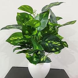 BAARIG Natural Looking Artificial Money Plant/Tree with Pot | Ornamental Plant for Interior Decor | Home/Shop/Office Décor (Multicolour)-image-16