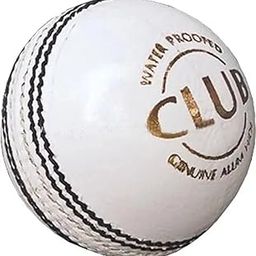 Premium Cricket Ball, Pink Leather, Club Grade, Gold Embossed (White)-image-32