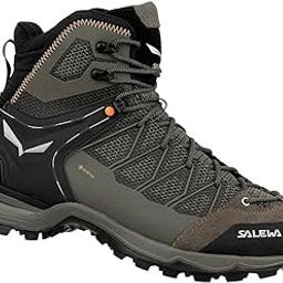 Salewa MS MTN Trainer LITE MID GTX-Brown Bungee Cord-9-image-45