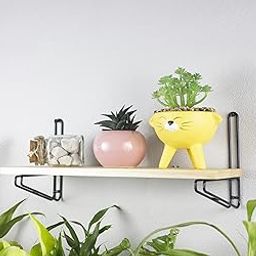 BLUE OAK Rectangular Wall Mounted Shelf for Living Room |Floating Metal N Wood Wall Rack for Planter, Books, Home Decor | Home, Office, Kitchen, Bedroom, Kids Room (Black - Set of 1)-11