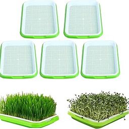Toxen Seed Sprouter Tray Without Lid Microgreens Growing Trays Sprouts Growing Kit Propagation Trays Healthy Wheatgrass Grower Storage Sprouting Tray for Garden Home Office (Pack of 2)-18