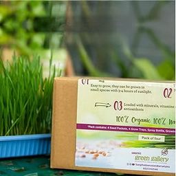 Sunflower & Red amrunthus Grow Kit, Pack of 2, DIY Gardening Kit, Organic Seeds for Healthy Greens, Easy Indoor Growing-image-48