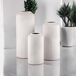 ARTISANS BAZAR Set of 3 Striped/Rippled & Ribbed Ceramic Flower Vase/Pot for Living Room, Home Decor, Line & Flute Vases for Dried Flowers & Pampas Grass (White)-image-97