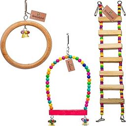 GREENBIRDS Combo of 3 Bird Toys Wooden Ladder, Perch & Ring for Bird & Parrot-image-53