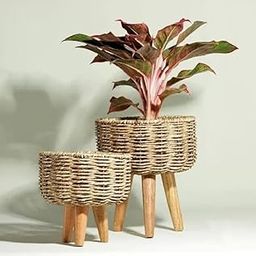 The Advitya Handmade Twisted Jute Rope Planters For Indoor Plants/Jute Baskets/Plant Container/Gamla For Indoor Home Decor&Outdoor Balcony/Garden -Set Of 2,Brown-image-66