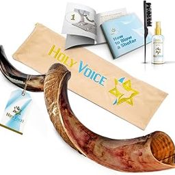 Kosher Kudu Shofar Horn from Israel – Traditional Half-Polished Yemenite Shofar Includes Carrying Bag, Brush and Blowing Guide - Easy Blowing Ancient Musical Instrument (28"-32")-image-77