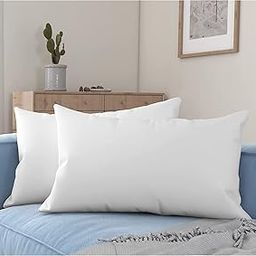 Wakewell Pillow, Set/Pack of 2 Microfibre Pillows, 61 x 41 cm, White (2 Pillows)-29