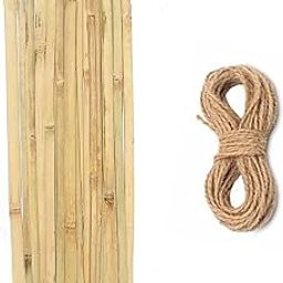 MNSS Bamboo Sticks Plank for Plants Support - 2 Feet 2 Inch /26 Inch (67cm, Set of 20 Piece)-image-53