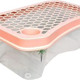 rizopets Turtle Aquarium Rust Resistant Tank, Reptile Habitat, Terrapin Lake, Basking, Swimming, Breeding, Hibernation, Feeding, Platform for Tortoise, Crayfish Crab (2 Feet, White, Pack of 1)-19