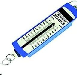 Spring balance 1000g 1kg spring scale Weight measurement tool Force gauge 1000-gram capacity balance Spring-based weight scale Mass measurement instrument-15