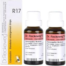Dr. Reckeweg R17 Glandular Enlargement Drop -22 ml (Pack of 2)-18