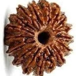 Ujjain.store 17 Mukhi Seventeen Face Nepal Rudraksha Natural Lab Certified Bead with The Rudra Blessings-22