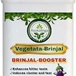 Vegetata Brinjal Booster –Higher Brinjal Yield|Nutrition Liquid|Plant Booster| Brinjal Booster|Bio-Stimulator for Faster Growth-growth regulator-image-94