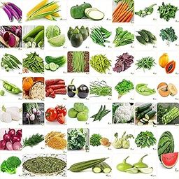 FLARE SEEDS India's No.1 Vegetable Seeds, Winter, Summer, Home Garden, Seeds Bank, Organic 50 Seeds Combo-image-29