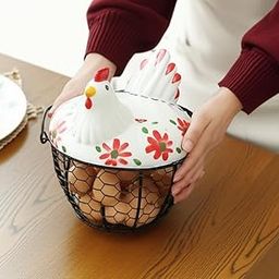 Amazing Decors White mesh Hen Shape Wire Egg Storage With White Resin Farm Chicken Top And Handles (Red)-image-2