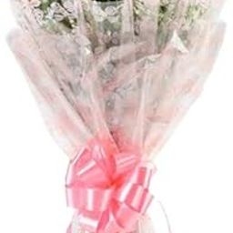 IFG's Beautiful Bouquet of Light Pink Roses, 8 pcs Fresh Flowers - Same Day Delivery-image-86