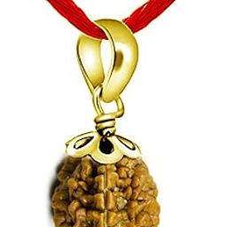 Choose Your Natural Certified Nepali Rudraksha 1 To 13 Mukhi Faced Yellow Gold Plated Pendant-picture-51