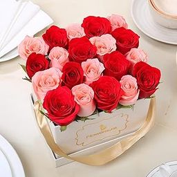 Fresh Live 20 Red & Pink Roses Bouquet in Box for Birthday, Anniversary, Wedding, Congratulations & Special Occasions (Same Day Delivery)-image-74