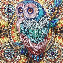 Diamond Painting DIY 5D Special Shape Rhinestone, Mandala Flower, Partial Diamond Crystal Diamond Painting Set Hibah-image-77