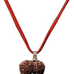 Certified Natural Mukhi/Faced Nepali Rudraksha Pendant Silver Plated - Unisex Spiritual Jewelry - Mukhi Bead For Spiritual Growth, Meditation & Energy-image-0