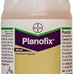 Planofix Plant Growth Regulator, 100 ml, with Organic DAP 300 and Protective Gloves-image-85