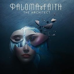Architect -Deluxe--picture-26
