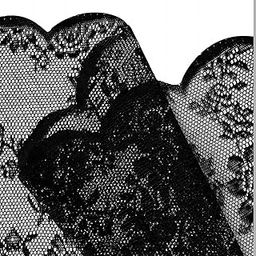 MERISHOPP Black Lace Floral Net Curtains Voile Curtains for Study Room Home Decorative 100cmx140cm-image-2