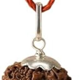 Astro Cart 8 Mukhi Rudraksha Nepali Oval 8 Face Nepal Rudraksha Brawn Aath Mukhi Rudraksha Original Certified आठ मुखी रुद्राक्ष 8 Mukhi Rudraksha 8 मुखी रुद्राक्ष ओरिजिनल नेपाल for Locket-3