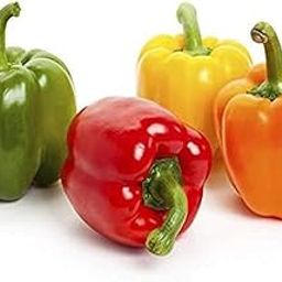 VibeX Hybrid Capsicum/Sweet Bell Pepper Mix Seeds-300 Seeds-image-42