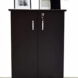 Caspian Engineered Wood Double Door Wooden Shoe Rack Cum Cabinet (Rainforest Dark) | Pre-Assembled Horizontal Furniture | Storage Organizer for Indoor/Outdoor Use | 4 Compartments with Door Lock-7