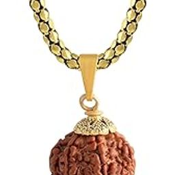 7 Mukhi Rudraksha Pendant Lab Certified Nepali seven Mukhi Original Certified Rudraksha Pendant with chain for Men and Women, Origin Nepal, Color Brown(ACPC0167A)-3