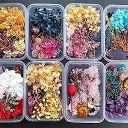 Keshav Creations Dried Flowers for Resin Art - Natural Dry Flowers for Decoration, Candle Making, Soap Making, Nail Art & DIY (Pack of 1, Assorted)-image-96