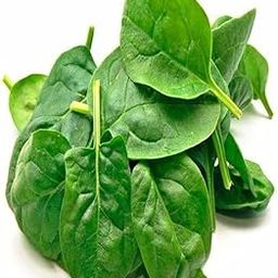Spinach Seeds Palak for Use in Backyard, Rooftop, or Small Balcony Containers, Pack of 25g 2500+ Seeds-image-104