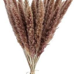MERISHOPP® 15x Dried Pampas Grass Phragmites Reed Flower Bunch Home Wedding Decor Gift Natural|Home & Garden | Home Decor|Floral Déco|15 Pieces Artificial Pampas Gr-image-37