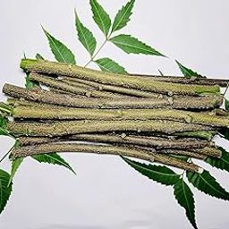 Ajay Natural Organic Neem Datun (Moti Datun) Organic Manual Toothbrush Nim Tree Twigs Chew Sticks for Brushing Teeth Removes Bad Breath,Toothpaste(Pack of 25 pcs)-image-39