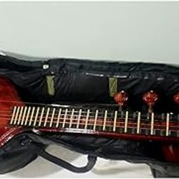 Generic Veena Case - Black Synthetic Leather Veena Bag with Strong Handling Straps-image-86