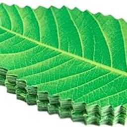 THE STYLE SUTRA 200x Artificial Leaf Sushi Plate Decor Dish Mat Sushi Dish Platter Ornaments Light Green-image-78