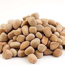 StoneForever Golden Teak Decorative; Landscaping and Garden Stones/Pebbles; 0.9 kg - Extra Small Size -0.5-1-inch-image-57