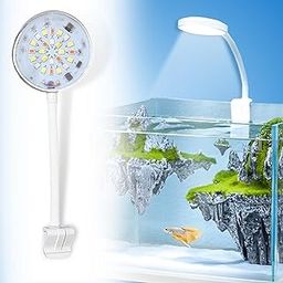 BURAQ Plastic N6 Multicolor Aquarium LED Light, 2.5 W High-Brightness Clip-On, WRGB Multicolor Modes, 360° Flexible Arm, Fit for Small & Tank & Fish Bowls (White, Corded Electric, ?5 volts)-image-38
