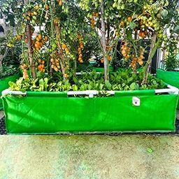 48x24x12 Rectangular Grow Bag with Supporting PVC Pipes for Terrace Garden | Premium HDPE Raised Green Plant Bags-image-41