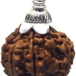 9 Mukhi Rudraksha Original Certified Nepali Bead Pendent 9 मुखी रुद्राक्ष Nau Mukhi 9 Face Rudraksh Real Nine Mukhi| Face Rudraksha Bead नौ मुखी रुद्राक्ष सिल्वर पेंडंट For Jap-3
