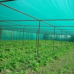 Yuvagreen Evergreen Shade Net 75% Shade Greenhouse Uv Stabilized Net (Green, 10 X 10Ft)-image-56