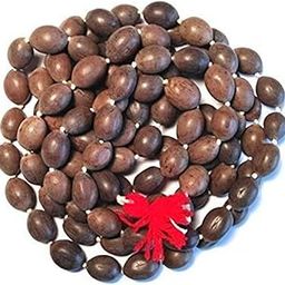 Lotus Seed Mala 108 Beads Original | Kamal Gatta Mala for Pooja | Tamara Ginjalu Mala | Japa Mala | Kamalgatta Maala | Lotus Beads Mala | Prayer Rosary for Jaap-image-35