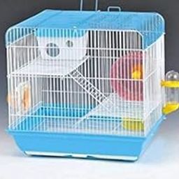 Cage/Playhouse for Dwarf Hamster/Gerbil/Mice with a Food Cup, Water Bottle and Exercise Wheel with Spacious Two ladders cage (37Cm x 28 cm x 35 cm )- Central Fish Aquarium [ Colors May Vary ]-15