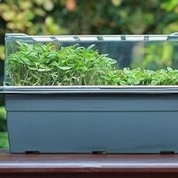 GROFASTHUB Hygienic Microgreens & Sprout Maker with 2 Compartments in Plastic Container/Pot, Pack of 1-image-4