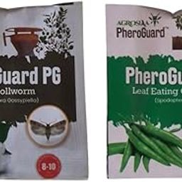 PG Pink Bollworm Lure - Pectinophora Gossypiella | Agriculture Use | Pack of 10 | & | SL Spodoptera Litura Lure | Leaf Eating Caterpillar Trap | Pack of 5 |30-35 Days-image-17