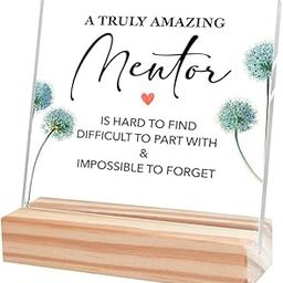 Bs amor Inspirational Gift Ideas - Thank You Gifts for Women Men Friends - Mentors Appreciation Gifts for Coworker - Motivational Quote Clear Desk Sign Decor Home Office Desk Decor (5 x 4 Inches)-image-99