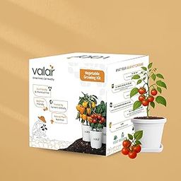 Valar Cherry Tomato Growing Kit | DIY All-in-One Home Gardening Set (Pack of 1 - Big) | Organic Seeds + Bio- Fertilizers+ 24x7 Support. (No Pot/Grow Bag)-picture-14
