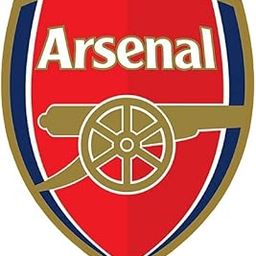 Skywalk Collectible Arsenal Football Club Fridge Magnet for Football Lovers (Multicolor) PBS-M-616-image-63